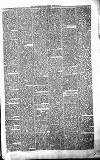 Carmarthen Journal Friday 23 February 1877 Page 7