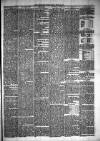 Carmarthen Journal Friday 22 March 1878 Page 7