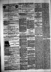 Carmarthen Journal Friday 10 May 1878 Page 4