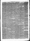 Carmarthen Journal Friday 25 October 1878 Page 3