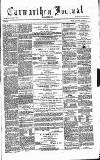 Carmarthen Journal Friday 24 January 1879 Page 1