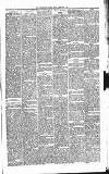 Carmarthen Journal Friday 07 February 1879 Page 3