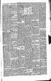 Carmarthen Journal Friday 21 February 1879 Page 3