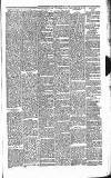 Carmarthen Journal Friday 28 February 1879 Page 3