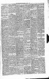 Carmarthen Journal Friday 07 March 1879 Page 3