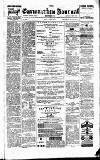 Carmarthen Journal Friday 02 January 1880 Page 1