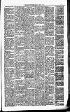Carmarthen Journal Friday 16 January 1880 Page 3
