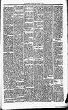 Carmarthen Journal Friday 23 January 1880 Page 3