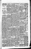 Carmarthen Journal Friday 30 January 1880 Page 5