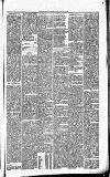 Carmarthen Journal Friday 30 January 1880 Page 7