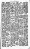 Carmarthen Journal Friday 06 February 1880 Page 5