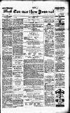 Carmarthen Journal Friday 13 February 1880 Page 1