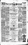 Carmarthen Journal Friday 05 March 1880 Page 1