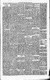 Carmarthen Journal Friday 19 March 1880 Page 3