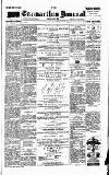 Carmarthen Journal Friday 09 July 1880 Page 1