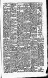 Carmarthen Journal Friday 03 September 1880 Page 5