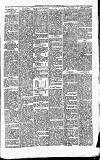 Carmarthen Journal Friday 05 November 1880 Page 3