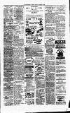 Carmarthen Journal Friday 12 November 1880 Page 7
