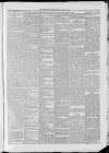 Carmarthen Journal Friday 22 January 1886 Page 3