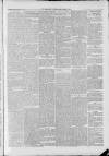 Carmarthen Journal Friday 05 March 1886 Page 5