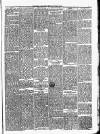 Carmarthen Journal Friday 29 November 1889 Page 3