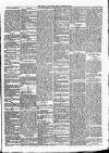 Carmarthen Journal Friday 20 December 1889 Page 3