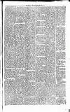 Carmarthen Journal Friday 04 March 1892 Page 3