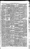Carmarthen Journal Friday 25 March 1892 Page 3
