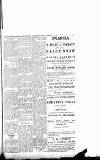 Carmarthen Journal Friday 17 November 1893 Page 13