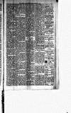 Carmarthen Journal Friday 05 January 1894 Page 3