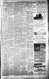 Carmarthen Journal Friday 11 January 1895 Page 3