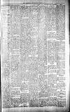 Carmarthen Journal Friday 11 January 1895 Page 5