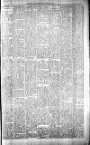 Carmarthen Journal Friday 11 January 1895 Page 7