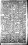 Carmarthen Journal Friday 18 January 1895 Page 3