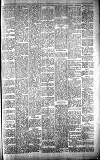 Carmarthen Journal Friday 18 January 1895 Page 5