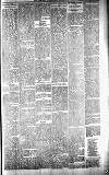 Carmarthen Journal Friday 08 March 1895 Page 3