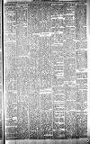 Carmarthen Journal Friday 08 March 1895 Page 7