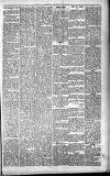 Carmarthen Journal Friday 21 February 1896 Page 5
