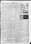 Carmarthen Journal Friday 10 April 1925 Page 3