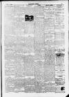Carmarthen Journal Friday 19 June 1925 Page 5
