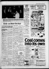 Carmarthen Journal Friday 31 October 1980 Page 13