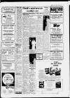 Carmarthen Journal Friday 06 November 1981 Page 13