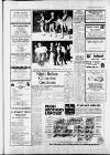 Carmarthen Journal Friday 25 March 1983 Page 17