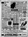 Carmarthen Journal Friday 03 May 1985 Page 3