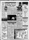 Carmarthen Journal Friday 15 January 1988 Page 29