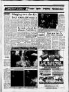 Carmarthen Journal Friday 29 January 1988 Page 21