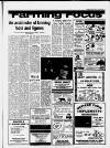 Carmarthen Journal Friday 29 January 1988 Page 33