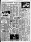 Carmarthen Journal Wednesday 24 January 1990 Page 35