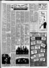 Carmarthen Journal Wednesday 11 April 1990 Page 41