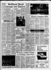 Carmarthen Journal Wednesday 18 April 1990 Page 31